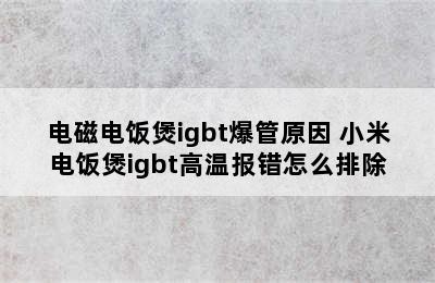 电磁电饭煲igbt爆管原因 小米电饭煲igbt高温报错怎么排除